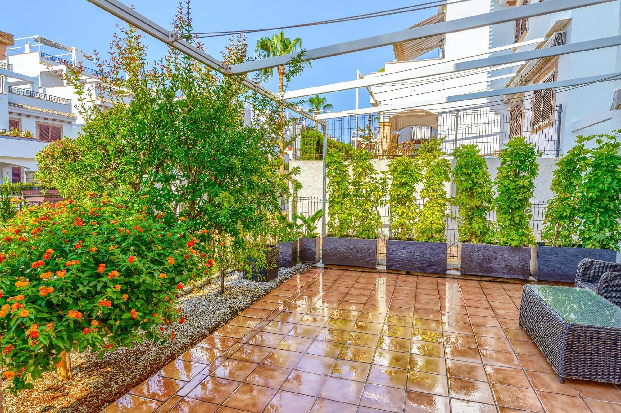 Sunny Apartments In La Mata, Azul Beach 2 Torrevieja Ngoại thất bức ảnh